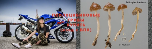 кокс Богородск