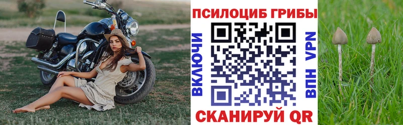 Псилоцибиновые грибы ЛСД  Клинцы 