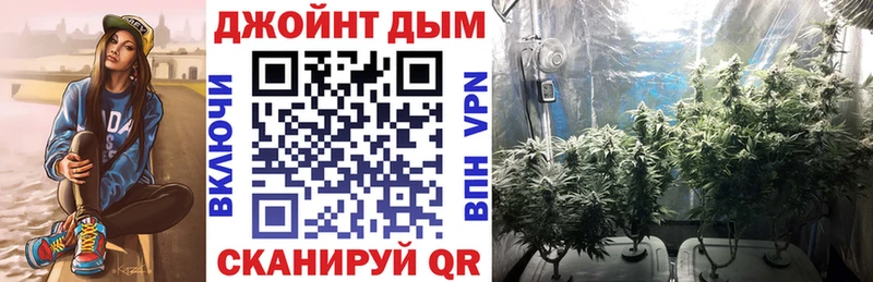 дарк нет какой сайт  Клинцы  Конопля OG Kush 